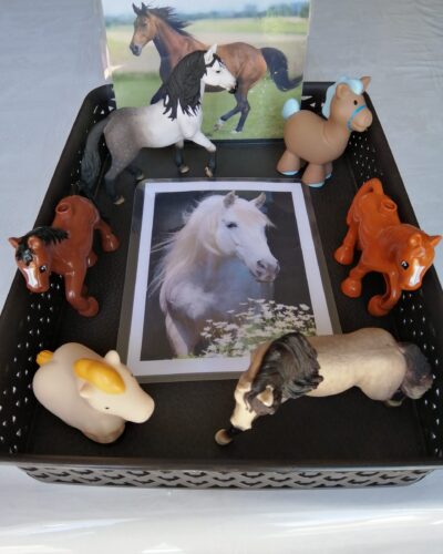 IMG_20220802_120706 IMG_20220802_120706