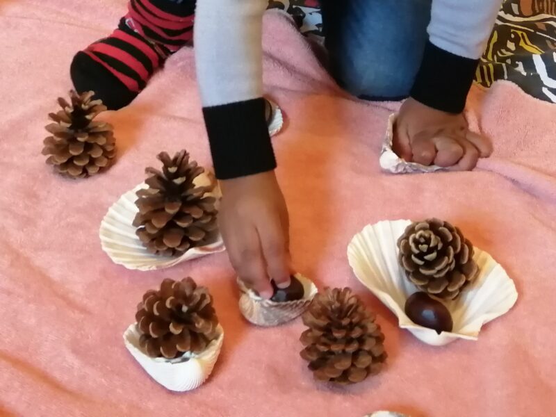 IMG_20200929_09G0833